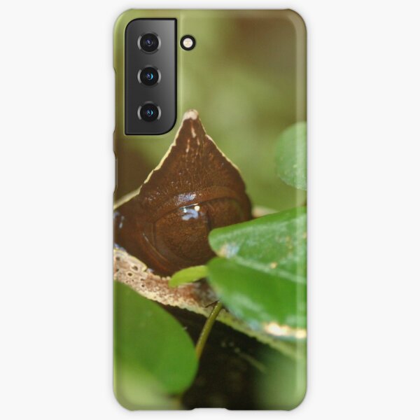 Samsung Galaxy S21 - Snap