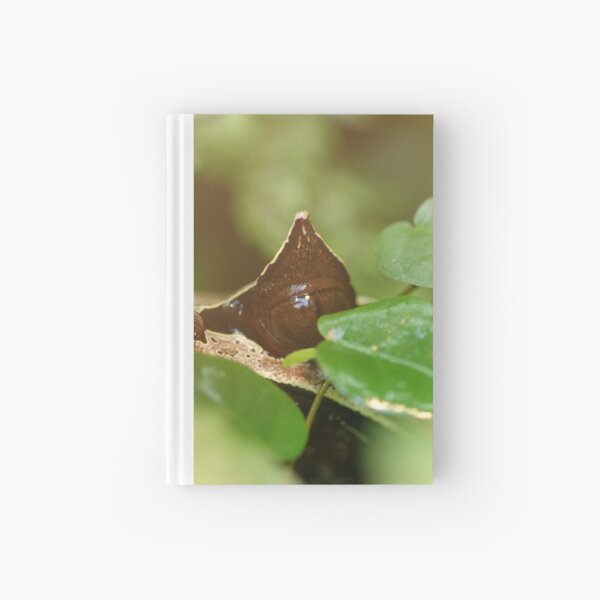 Hardcover Journal
