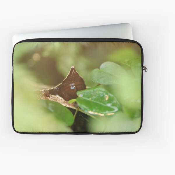 Laptop Sleeve