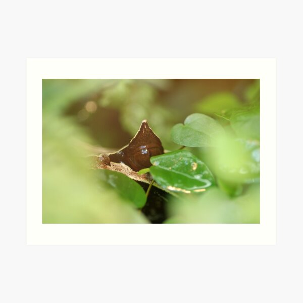 Art Print
