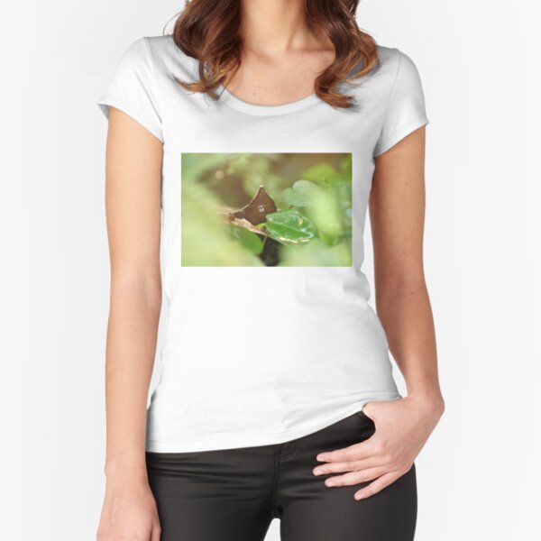 Fitted Scoop T-Shirt