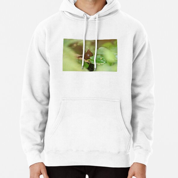 Hoodie (Pullover)