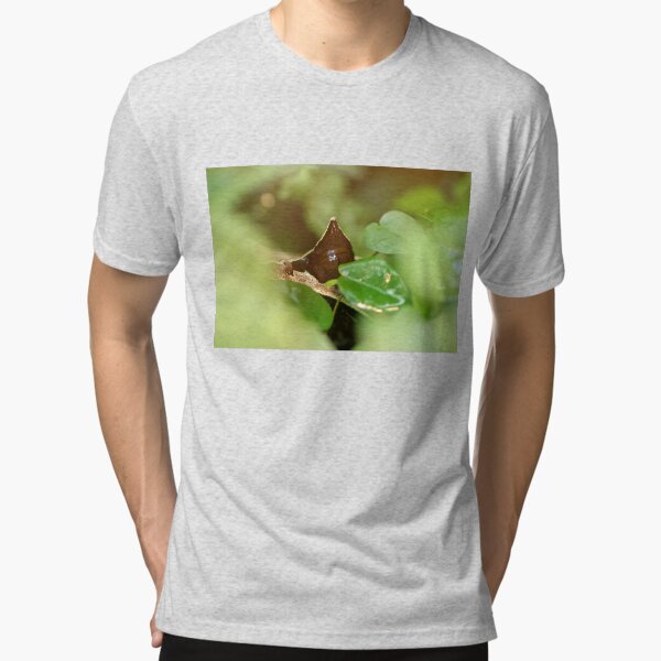 Tri-blend T-Shirt
