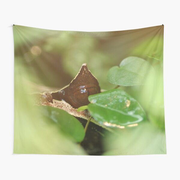 Tapestry