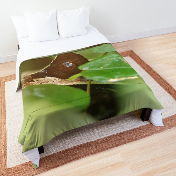 Comforter