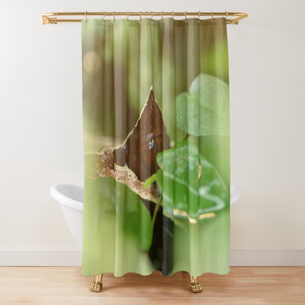 Shower Curtain