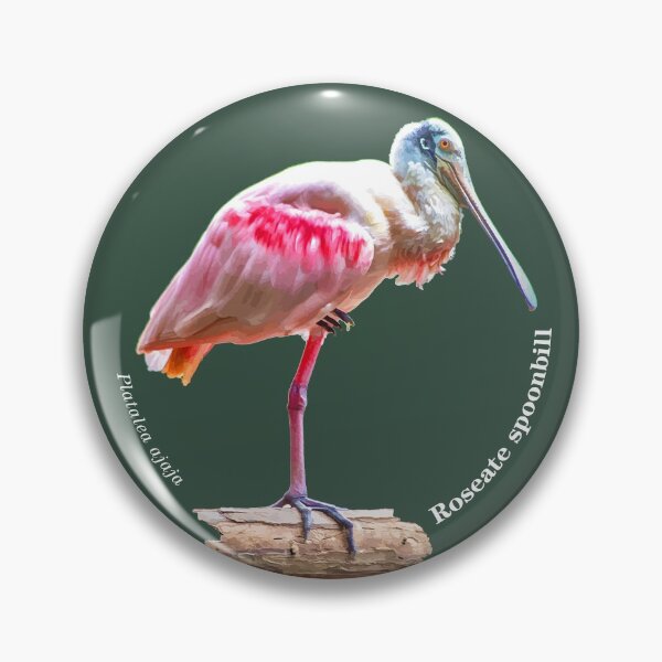 Item preview, Roseate spoonbill bird  at the mangrove swamp designed and sold by Mauricio Acosta.