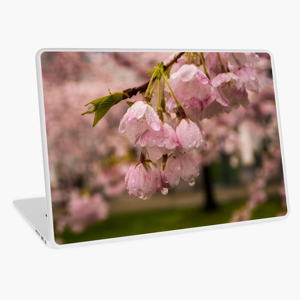 Item preview, Laptop Skin designed and sold by raetucker.
