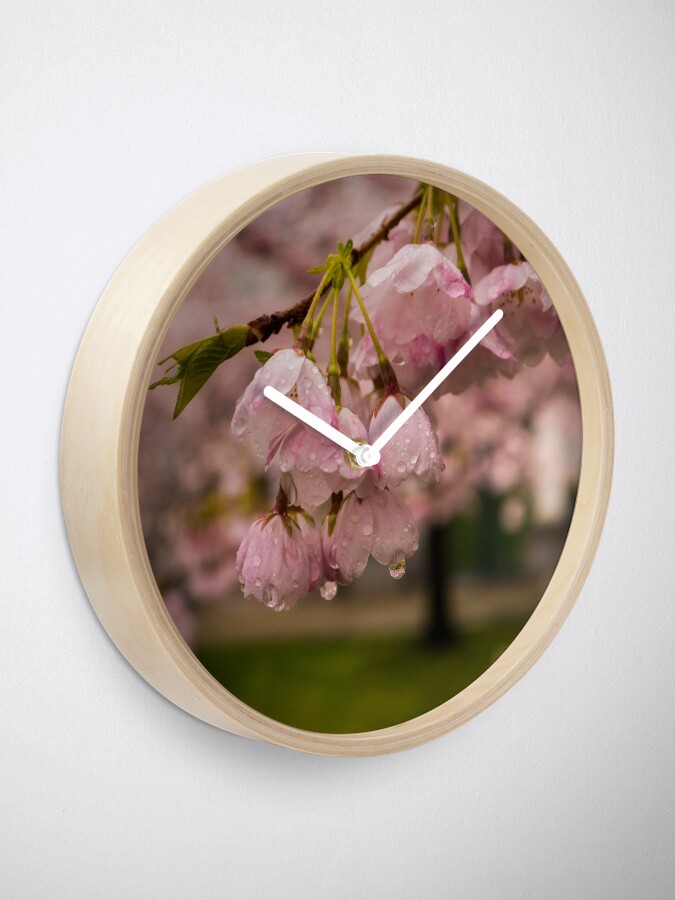 Thumbnail 1 of 4, Clock, Cherry Blossoms and Rain Drops designed and sold by raetucker.