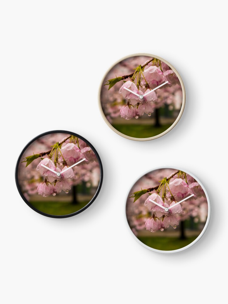 Thumbnail 3 of 4, Clock, Cherry Blossoms and Rain Drops designed and sold by raetucker.