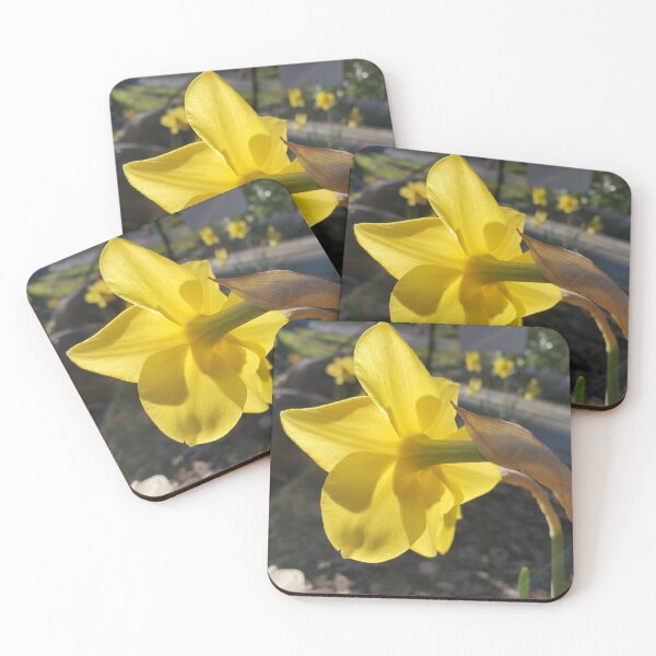 Item preview, Sunlit Daffodil Bloom designed and sold by Jeanne Kramer-Smyth.
