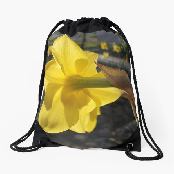 Sunlit Daffodil Bloom Drawstring Bag