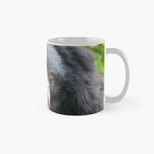 Item preview, Sloth Bear at the National Zoo designed and sold by Zoo and Nature Photography by Karie.