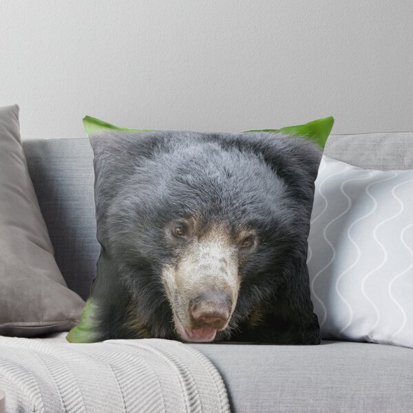 Item preview, Sloth Bear at the National Zoo designed and sold by Zoo and Nature Photography by Karie.