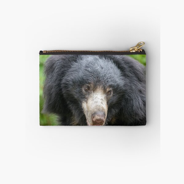 Item preview, Sloth Bear at the National Zoo designed and sold by Zoo and Nature Photography by Karie.