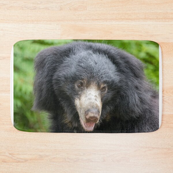 Item preview, Sloth Bear at the National Zoo designed and sold by Zoo and Nature Photography by Karie.