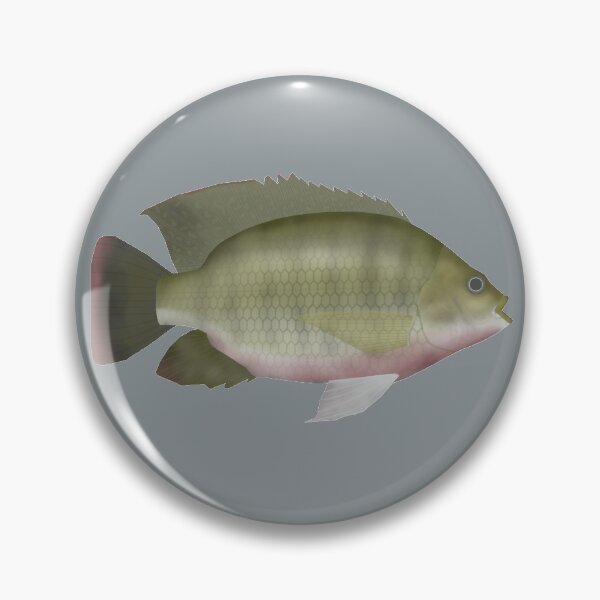 Item preview, Redbreast Tilapia designed and sold by fishfolkart.