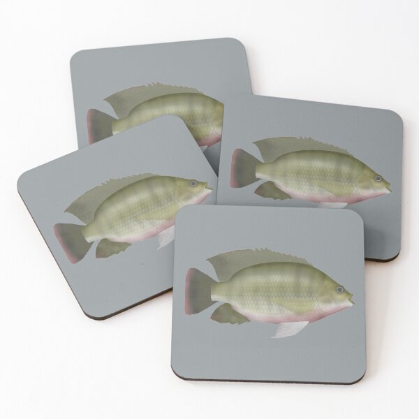 Item preview, Redbreast Tilapia designed and sold by fishfolkart.