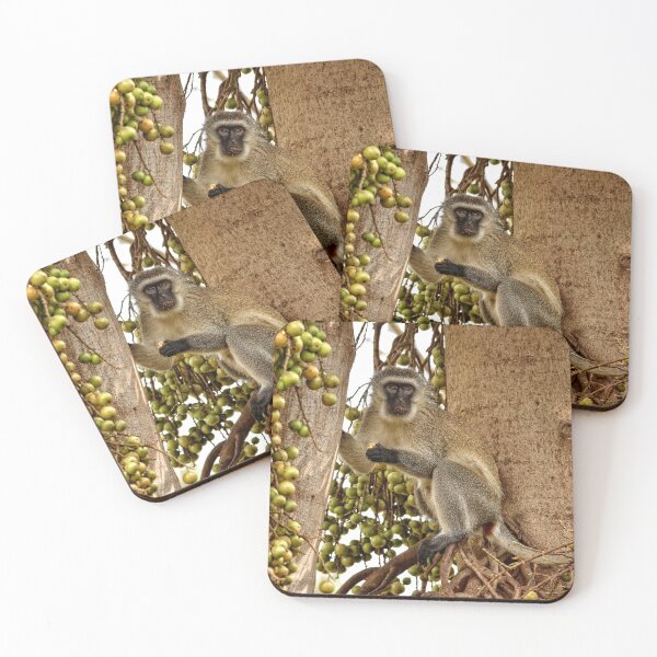 Item preview, Vervet Monkey in Kenya designed and sold by Mitchell Grosky.