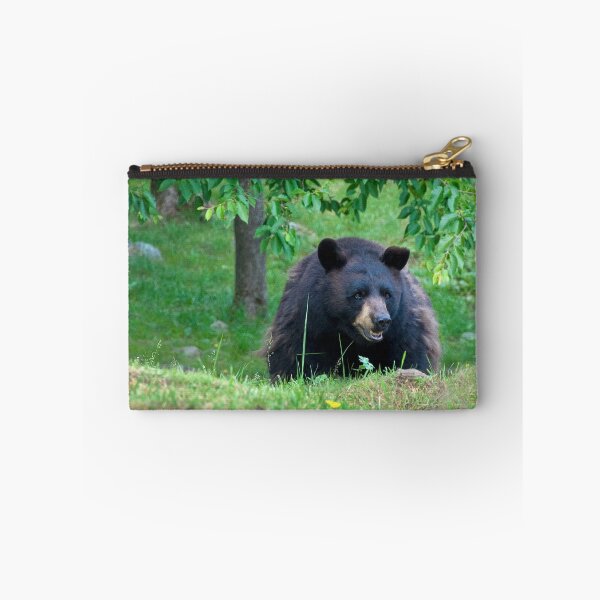 Item preview, Black Bear on Alert designed and sold by Karen Peron.