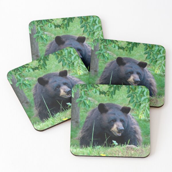 Item preview, Black Bear on Alert designed and sold by Karen Peron.