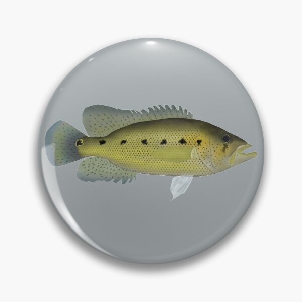 Item preview, Bay Snook designed and sold by fishfolkart.