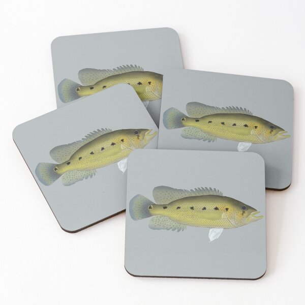 Item preview, Bay Snook designed and sold by fishfolkart.