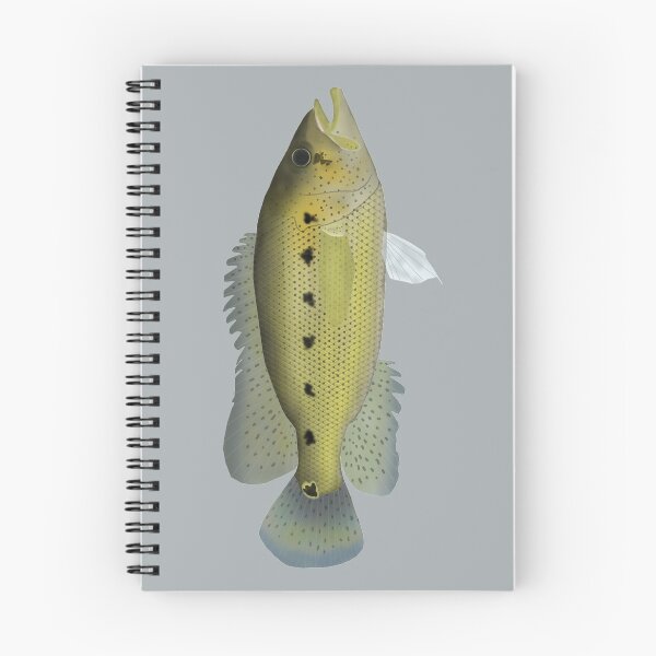 Item preview, Bay Snook designed and sold by fishfolkart.
