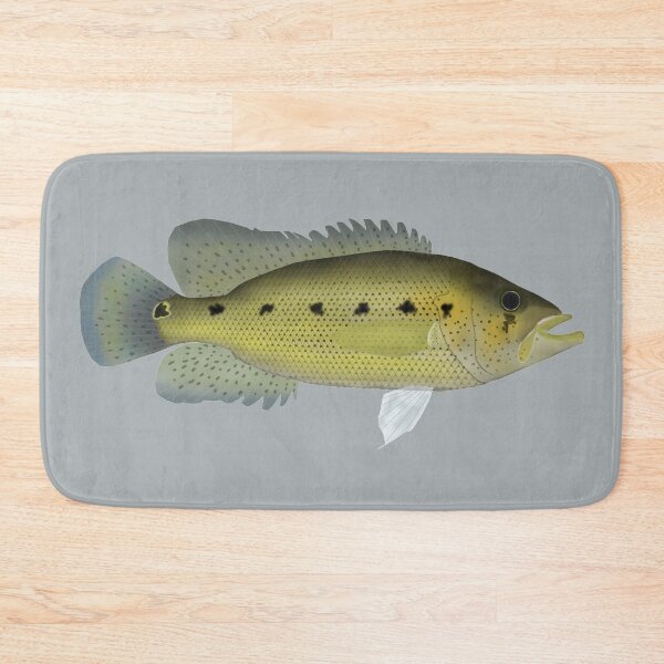 Item preview, Bay Snook designed and sold by fishfolkart.