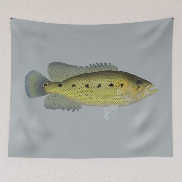 Item preview, Bay Snook designed and sold by fishfolkart.