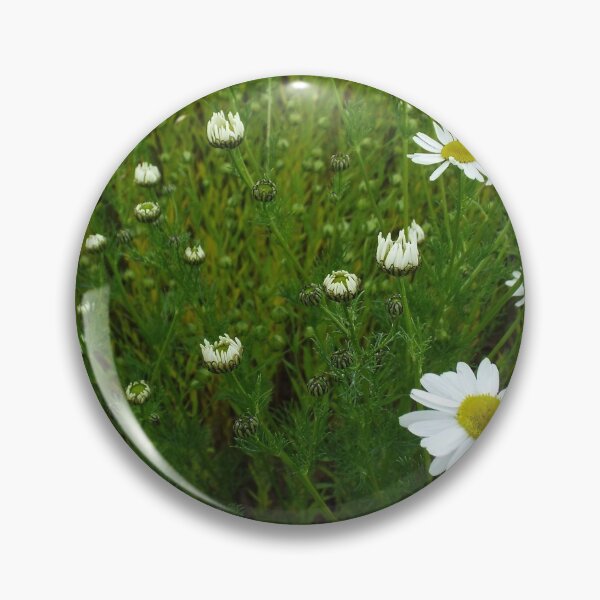 Item preview, Daisies 1 designed and sold by MeyrellesMartin.