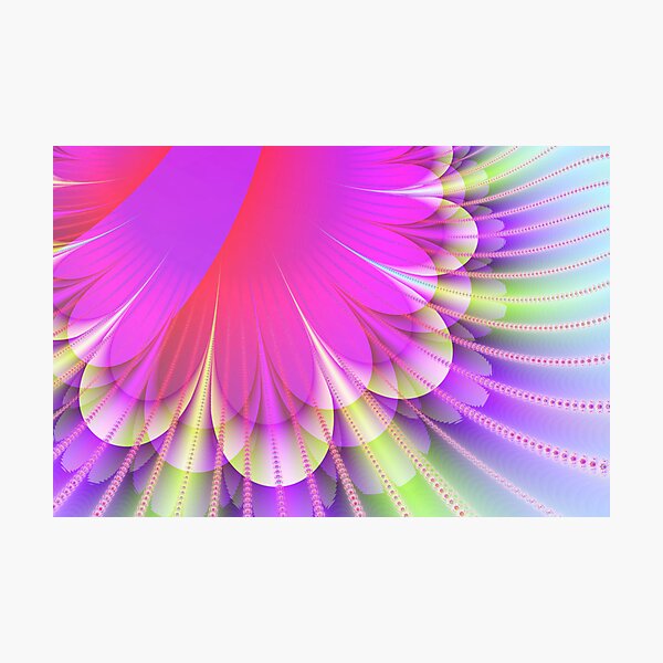 Photographic Print