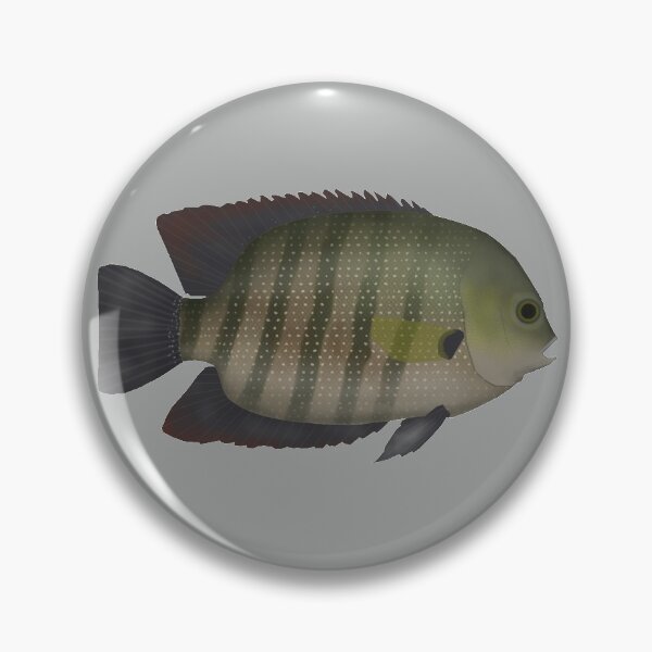 Item preview, Pearl Spot designed and sold by fishfolkart.