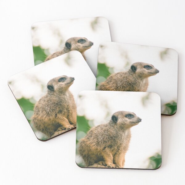 Item preview, Meerkat Photography (1) designed and sold by eileendiaries.