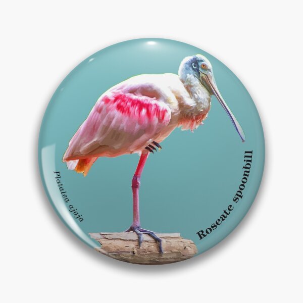 Item preview, Roseate spoonbill bird near the sea designed and sold by Mauricio Acosta.