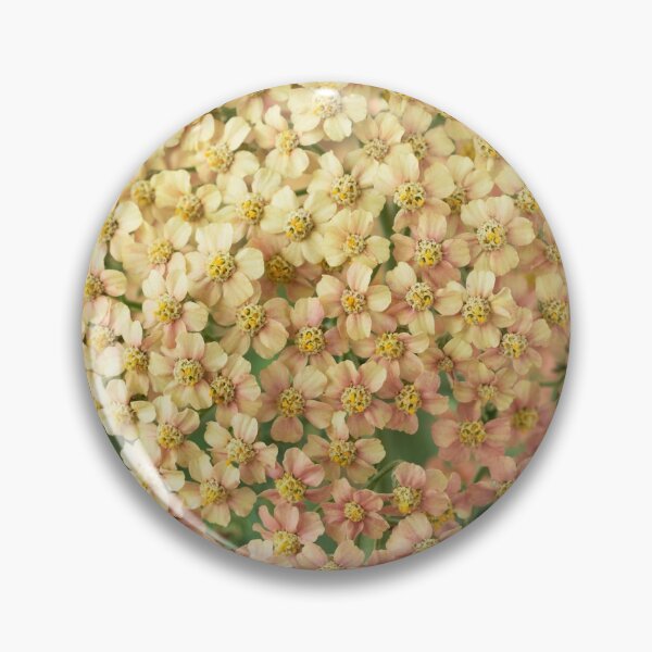 Item preview, Achillea millefolium 'Salmon Beauty'   designed and sold by Chris Burrows.