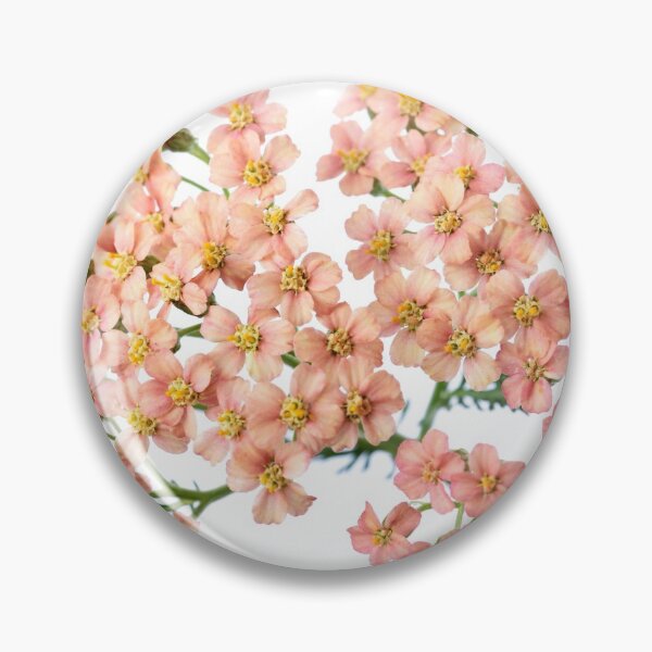 Item preview,  Achillea millefolium 'Salmon Beauty' designed and sold by Chris Burrows.