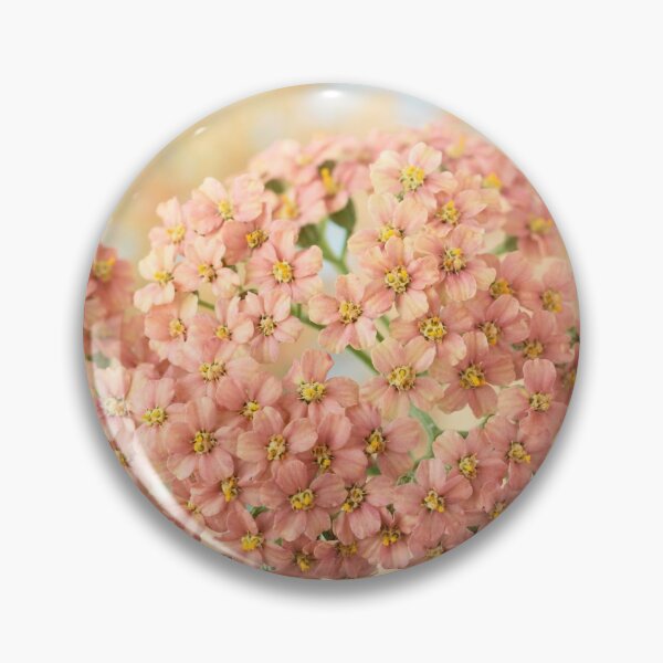 Item preview,  Achillea millefolium 'Salmon Beauty' designed and sold by Chris Burrows.
