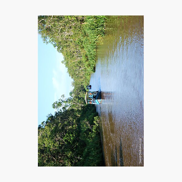 Bornean Queen Photographic Print
