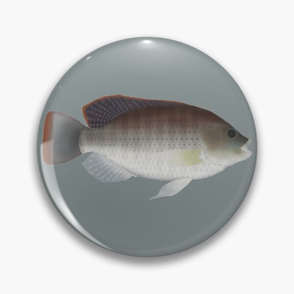 Item preview, Blue Tilapia designed and sold by fishfolkart.