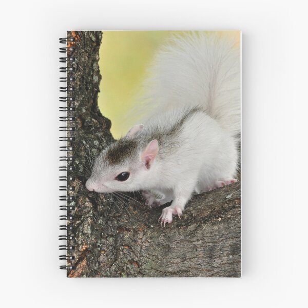 Item preview, Catch me if you can  designed and sold by Karen Peron.