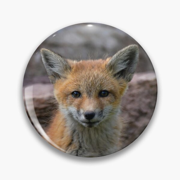 Item preview, Curious Kit designed and sold by Karen Peron.