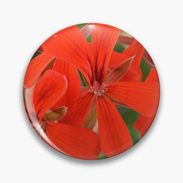 Item preview,  Ivy-leaved Pelargonium  designed and sold by Chris Burrows.