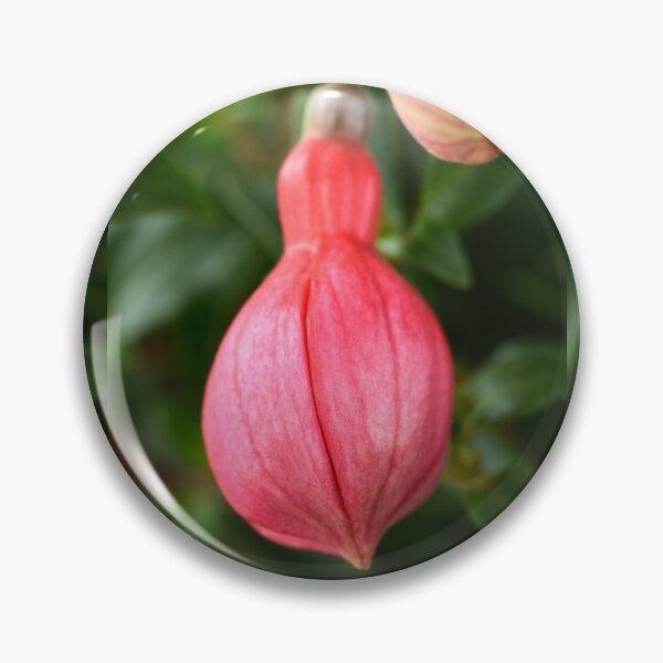 Item preview, Fuchsia  'Ringwood Market'  Flower buds   designed and sold by Chris Burrows.