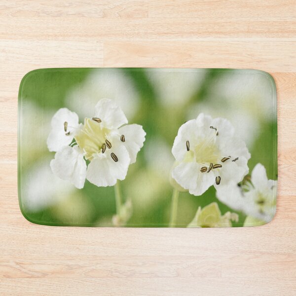 Item preview, Silene maritima  Sea campion   designed and sold by Chris Burrows.