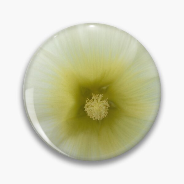 Item preview, Alcea rosea  'Halo White'  Hollyhock  Halo Series designed and sold by Chris Burrows.