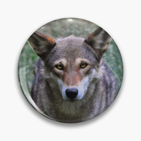 Item preview, Red Wolf designed and sold by Karen Peron.
