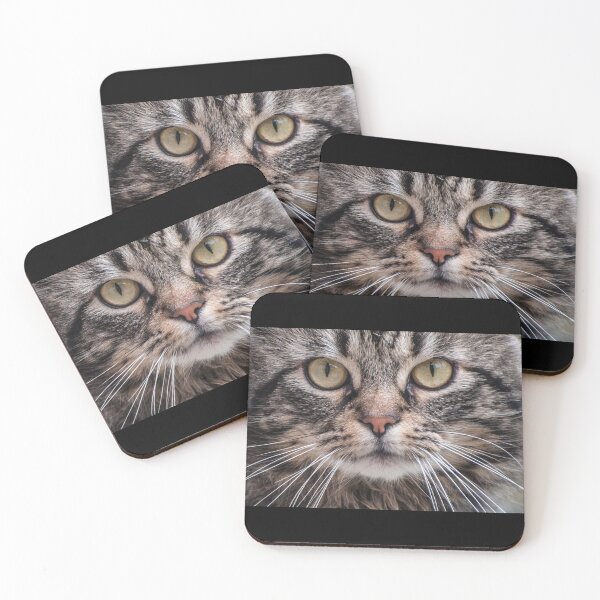 Item preview, Cat Face Mask designed and sold by weavernap.