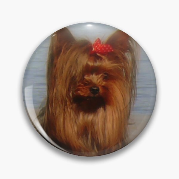 Artikelvorschau, Our Yorkie Princess entworfen und verkauft von Gail Bridger.