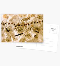 Beach Landscape Postcards